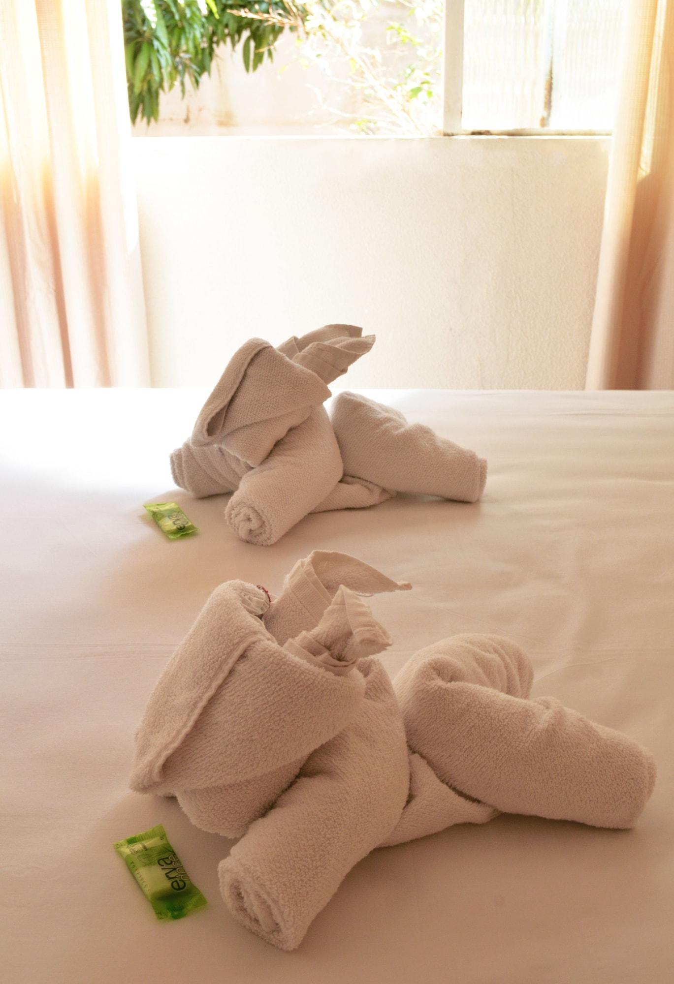 Iguacu Plaza Hotel フォス・ド・イグアス エクステリア 写真